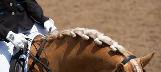 British Dressage launches new initiative to support riders with intellectual impairments 