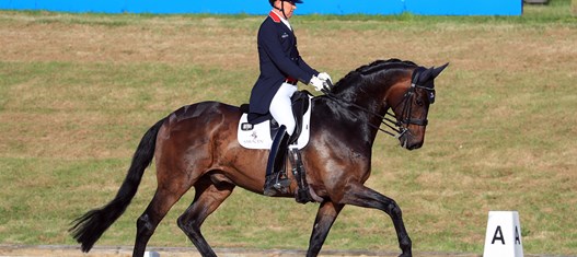 Gareth Hughes to give dressage Masterclass at Hickstead